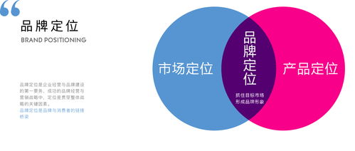 vi设计 品牌全案 品牌策划公司 网站包装设计公司 清美未来